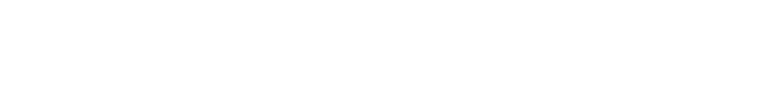 Landing-page-logo-long